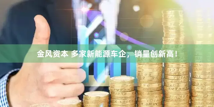 金风资本 多家新能源车企，销量创新高！