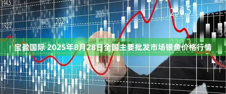 宝盈国际 2025年8月28日全国主要批发市场银鱼价格行情