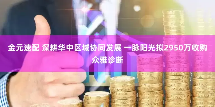 金元速配 深耕华中区域协同发展 一脉阳光拟2950万收购众雅诊断