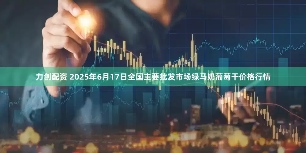 力创配资 2025年6月17日全国主要批发市场绿马奶葡萄干价格行情